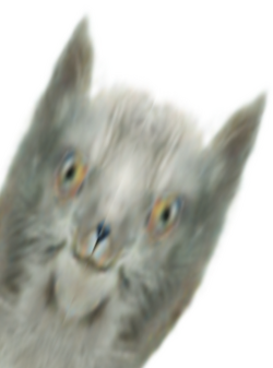 secret.png