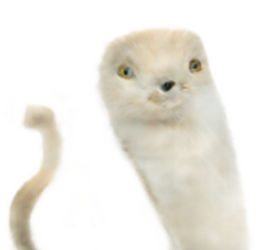 EARS.png