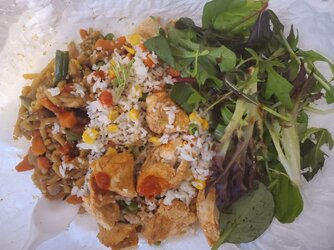 stir fry rice w peas corn carrot pan fried spicy chicken salad with bal vinegar.jpg