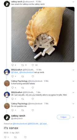 cat93.png