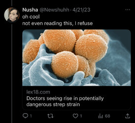 Strep1.jpg
