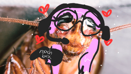 how_to_contain_a_roach_infestation.png