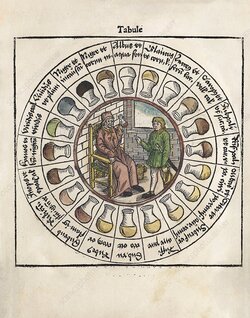 C0478599-Urine_analysis_chart,_16th_century.jpg