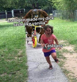 1683060067700.png