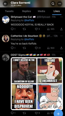 34443A18-E604-415B-A0C9-EE0BB6500CD9.jpeg