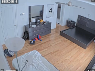 screenshot-www.fishtank.live-2023.05.03-07_53_29.png