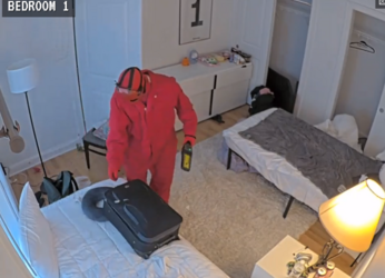 screenshot-www.fishtank.live-2023.05.03-13_45_32.png
