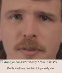 1683156611578.png
