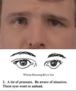 1683156700944.png