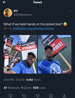 IMG_9162.jpeg