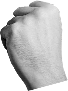 patFist.png