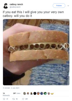 cat86.png