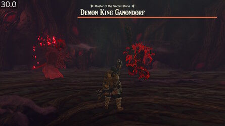 The_Legend_of_Zelda__Tears_of_the_Kingdom_20230504_171431_00.jpg
