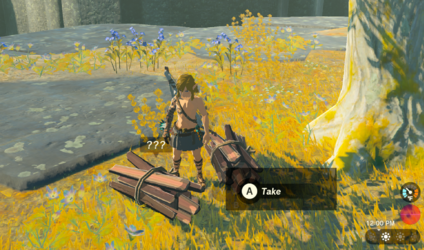zelda totk two faggots.png