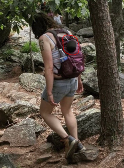 Capture.PNG