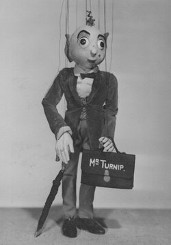mr turnip.jpeg