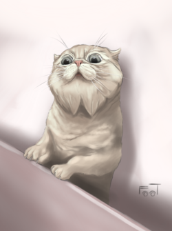 catto!.png