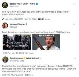 Guns2.jpg