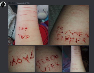 imgur_v5YHSZn_049_2JpnCFe.png