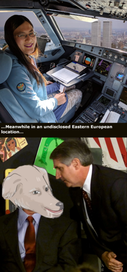 1684007145119.png