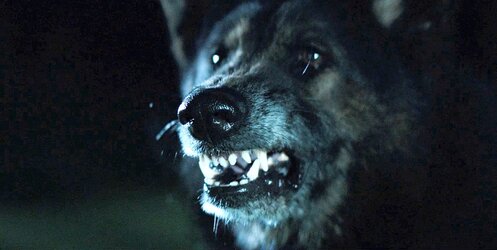 ThePack_WolfSnarl1.jpg