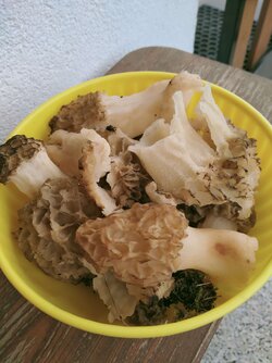 IMG20230514134117.jpg