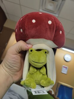 after surgery plushies 3.jpg
