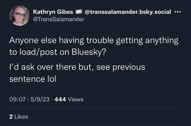 blueksy not loading.jpg
