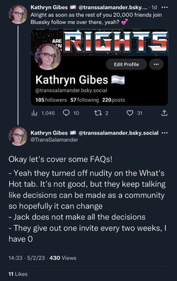 bluesky faqs.jpg