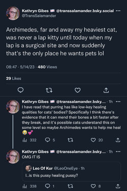 cat on lap.jpg