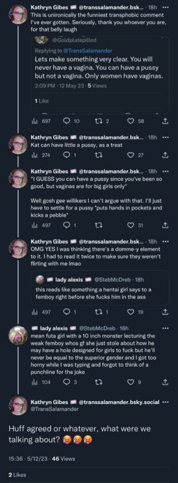 funniest transphobic comment.png