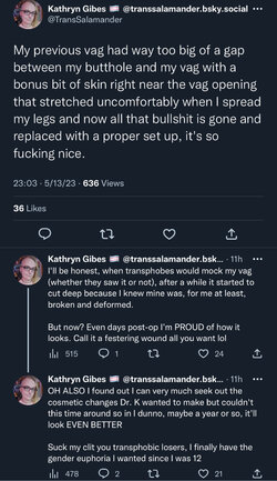 previous vag.jpg