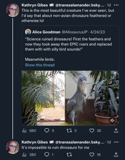 scary ass bird.jpg