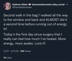 second walk.jpg