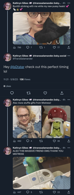 after surgery plushies.png