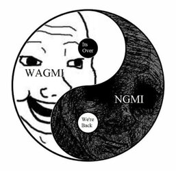 1683442824980621.jpg