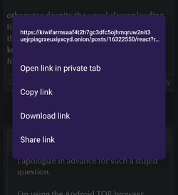 Screenshot_20230515_093911_Tor Browser.jpg