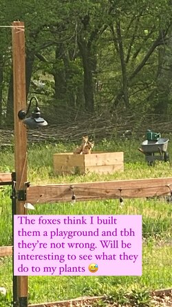 345103403_630287402288575_2938809822337176514_n.jpg