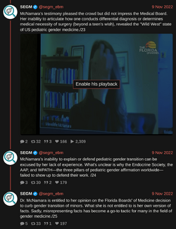 segm_ebm-1590182979086987264-6.png