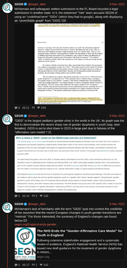 segm_ebm-1590182979086987264-5.png