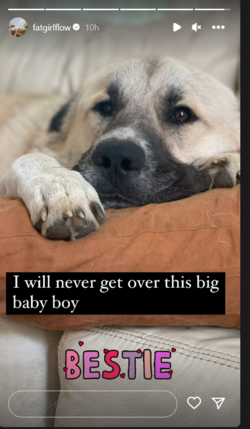 1684275408034.png