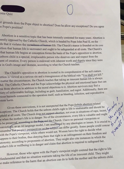 essay2.png