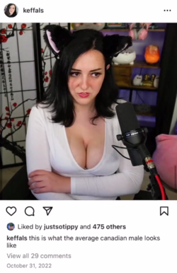 1684406483055.png