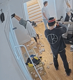 day31_josie_faceplant.gif