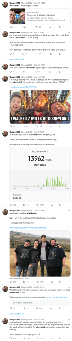 Boogie2988 Wheelchair Twitter.png