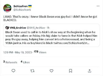 BlackedSwan.jpg