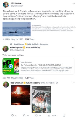 orca.jpg