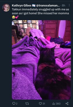 Screenshot_20230520-030623_Twitter.jpg