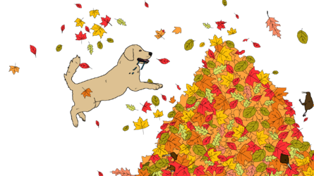 Leaves.boing.png