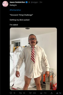 GOLDSTRIKER.PNG